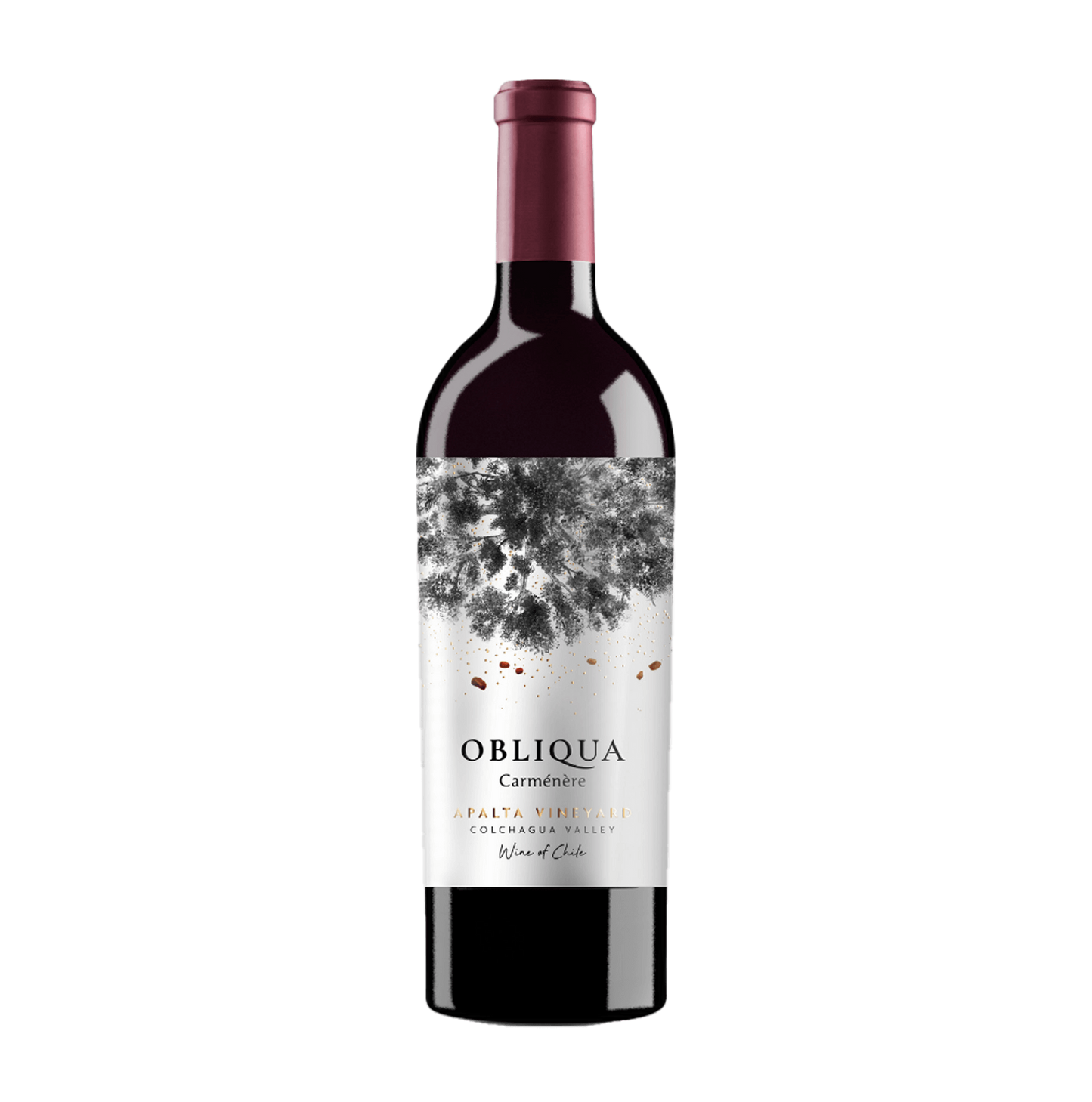 Rượu vang Chile Obliqua Carmenere
