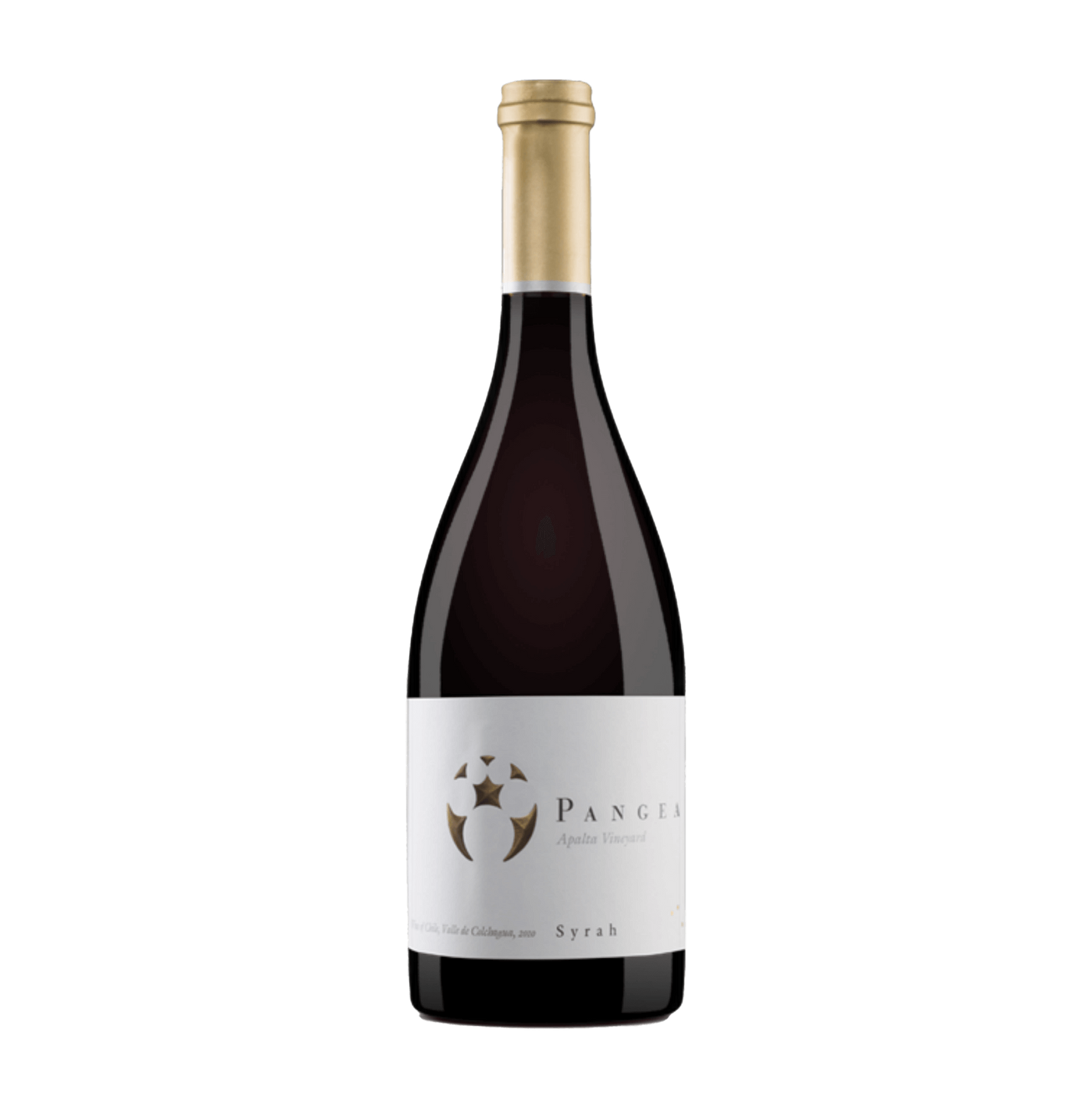 Pangea Syrah Chilean Wine 3L