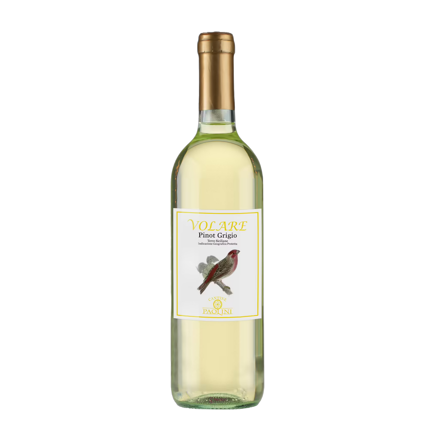 Rượu vang Ý Paolini Volare Pinot Grigio