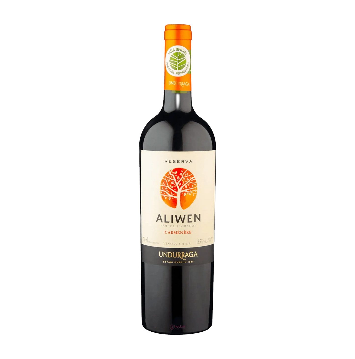 Rượu vang Chile Aliwen Reserva Carmenere