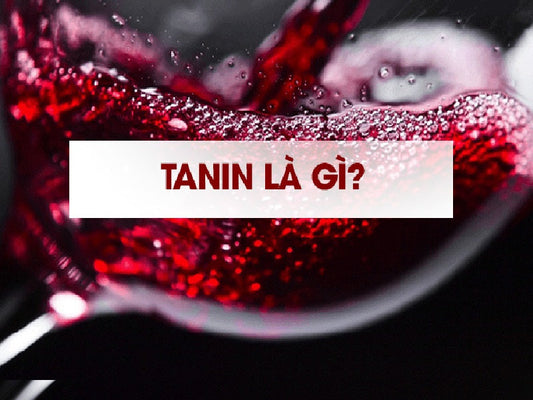 Tannin là gì? 6 Tác dụng "vàng" của Tannin trong Rượu Vang Đỏ (Giải Mã Vị Chát & Lợi Ích Sức Khỏe)