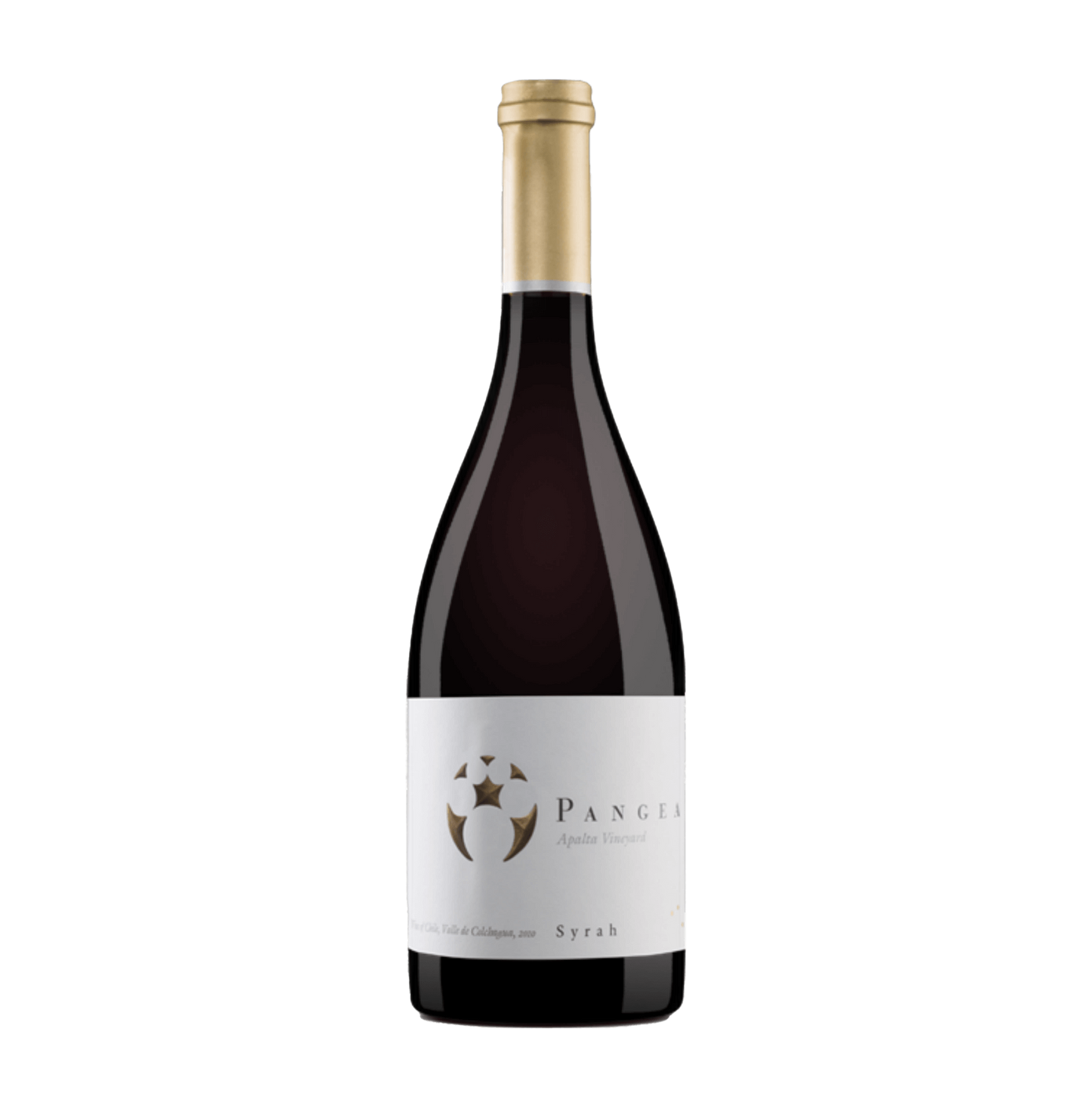 Rượu vang Chile Pangea Syrah