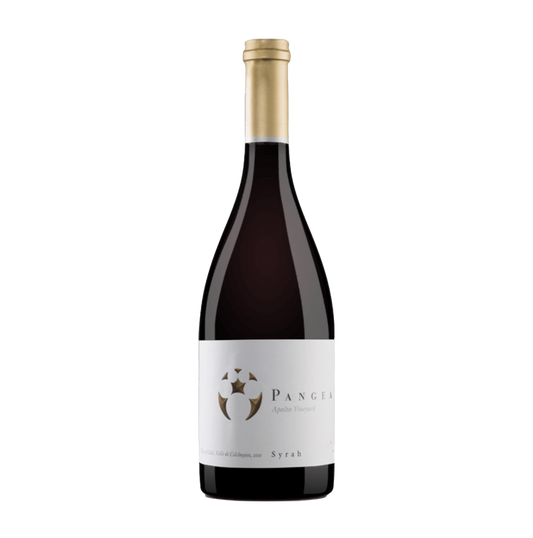 Rượu vang Chile Pangea Syrah