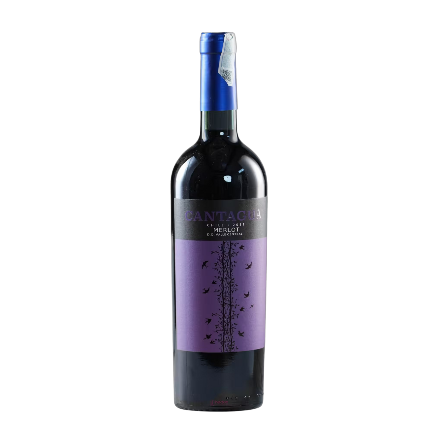 Chilean Cantagua Merlot wine