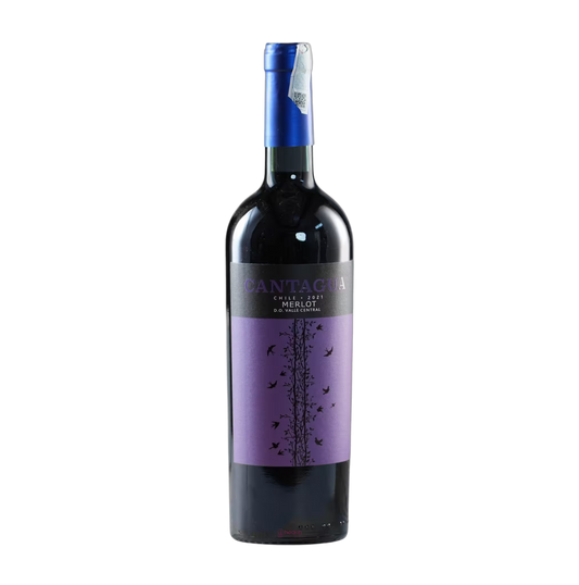 Rượu vang Chile Cantagua Merlot