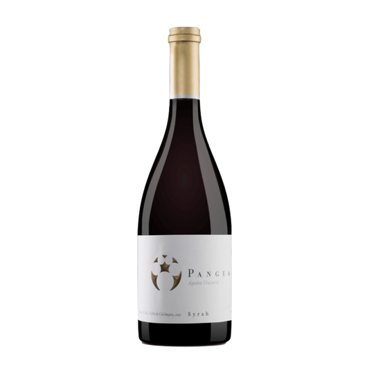 Rượu vang Chile Pangea Syrah 1,5L