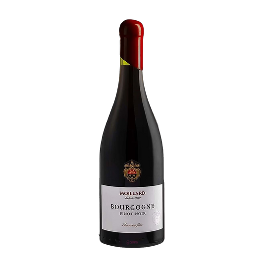 Rượu vang Pháp Moillard Bourgogne Pinot noir