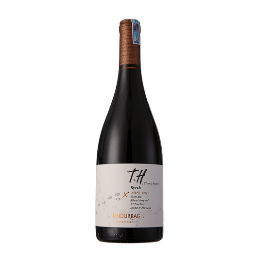 Rượu vang Chile Terroir Hunter Syrah TH
