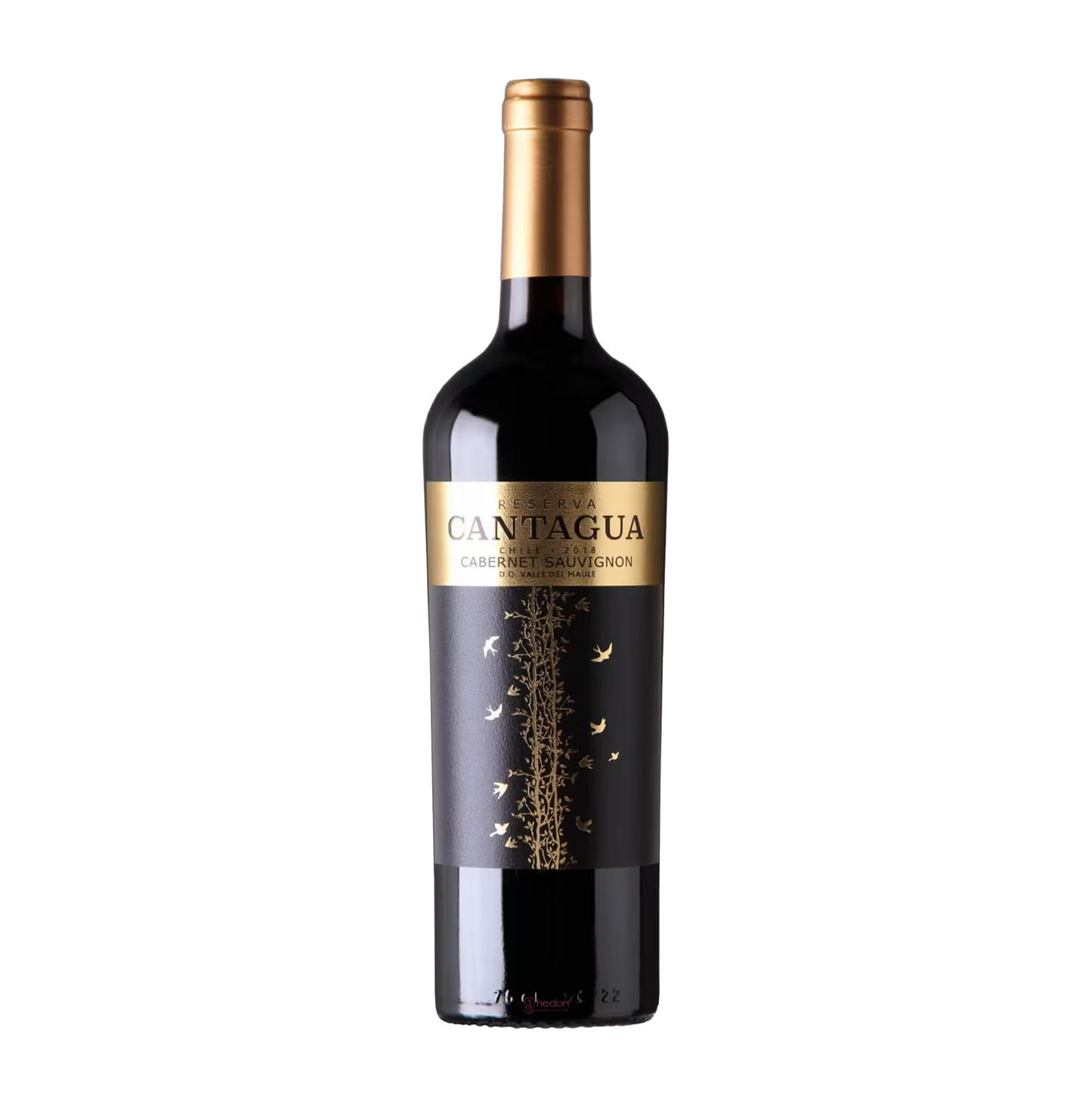 Chilean Cantagua Reserva Cabernet Sauvignon wine
