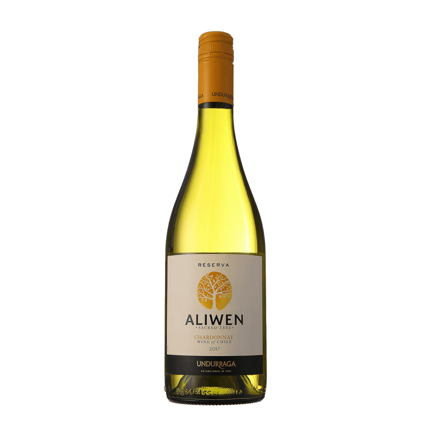Aliwen Reserva Chardonnay Chilean wine