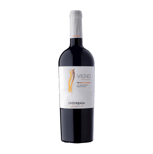 Chilean wine Vigno Old vines Dry-farmed Carignan